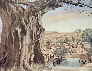 Un Baobab (Sudan), z Rysunku i malarstwa Afryki, wykonanego podczas wyprawy Citroen Centre Afrique, druga misja Haardt Audouin-Dubreuil, wyd. Paryż, 1927